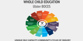 A whole-child approach to special education begins with core values, engages a panoply of stakeholders, and continues with cycles of inquiry.